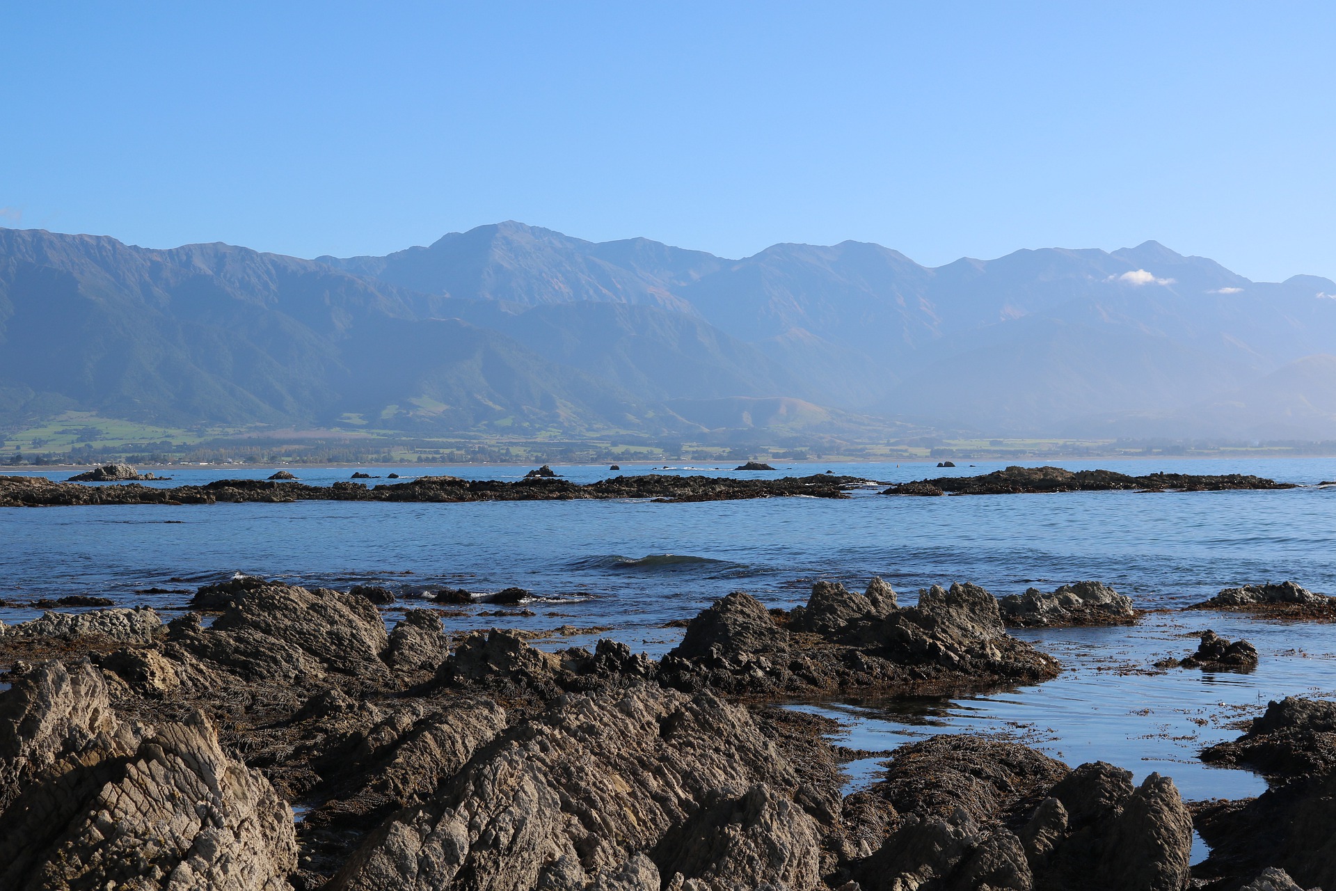 kaikoura-4248160_1920
