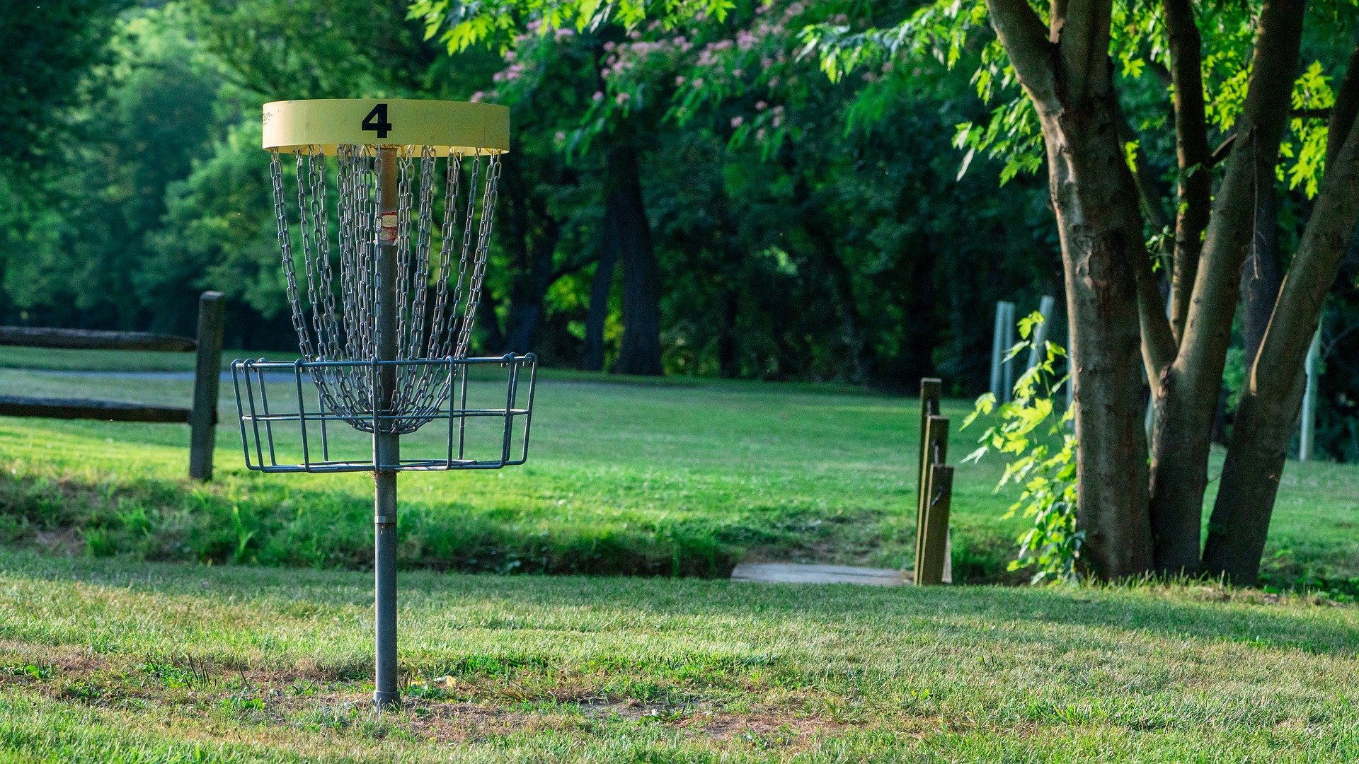 disc-golf-5389182_1920