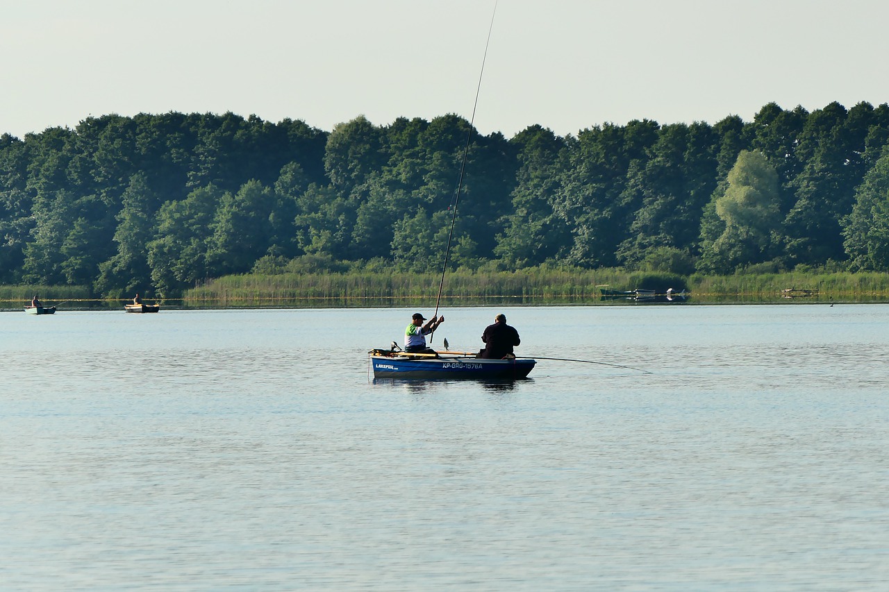 fishing-5454239_1280