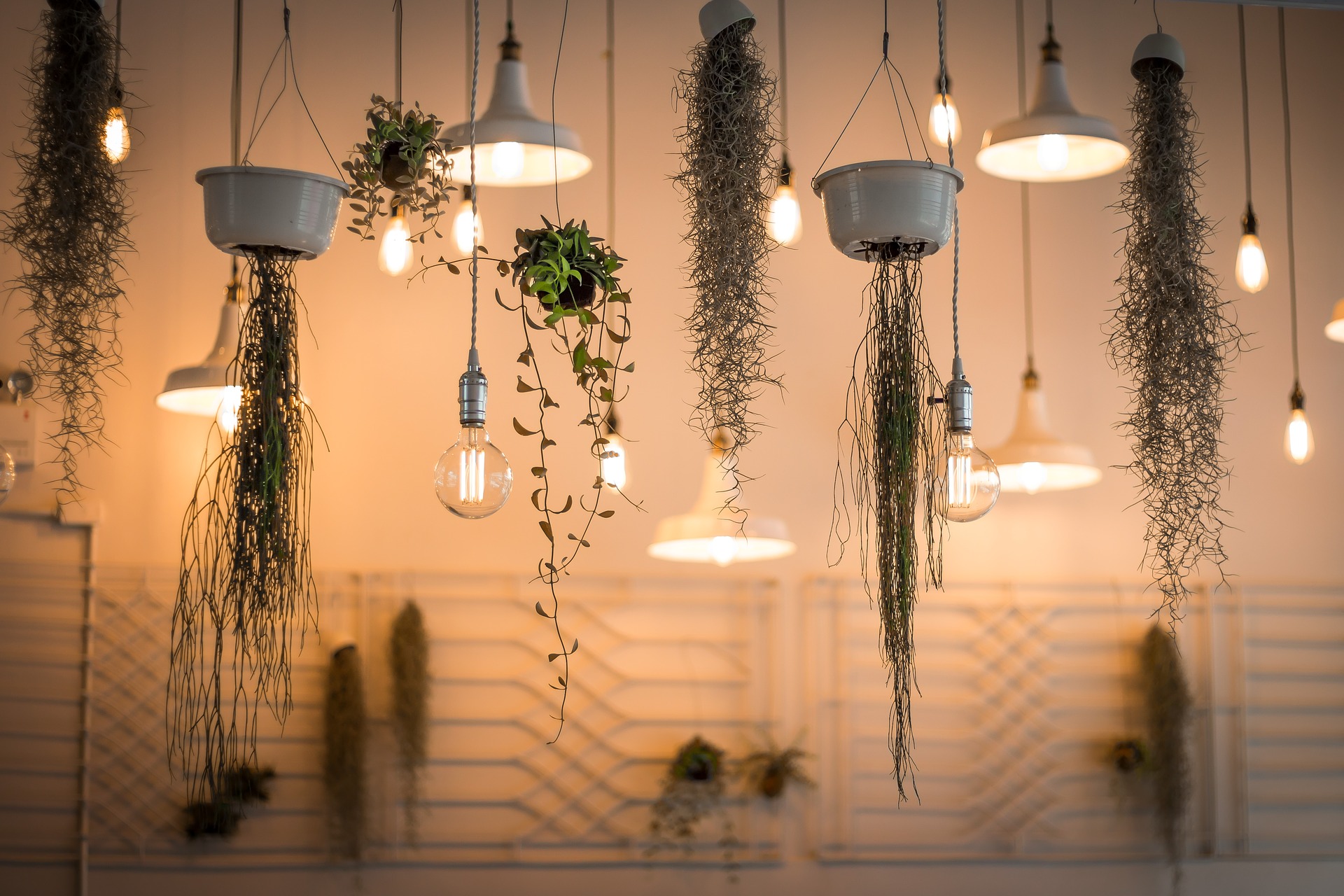 lights-1867437_1920