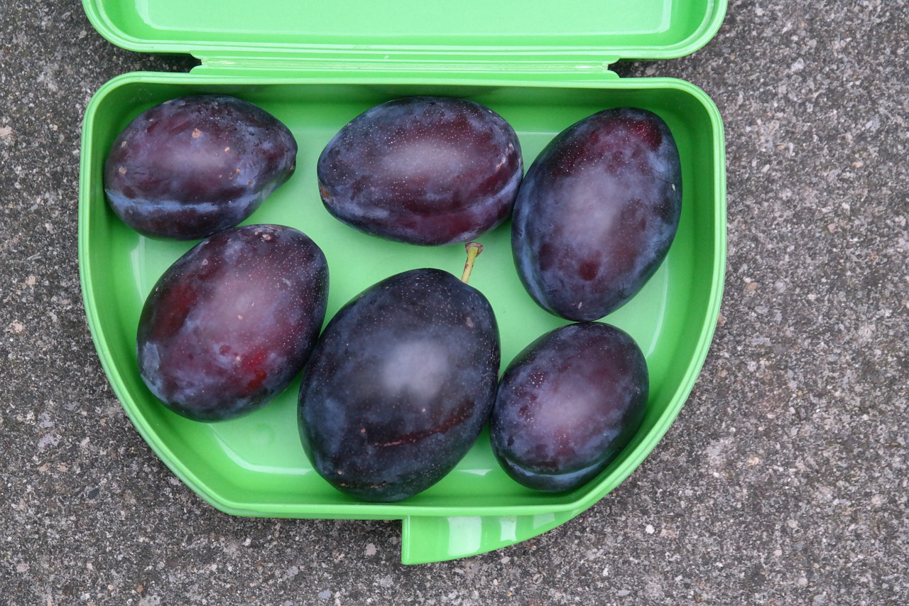 lunch-pail-225927_1280