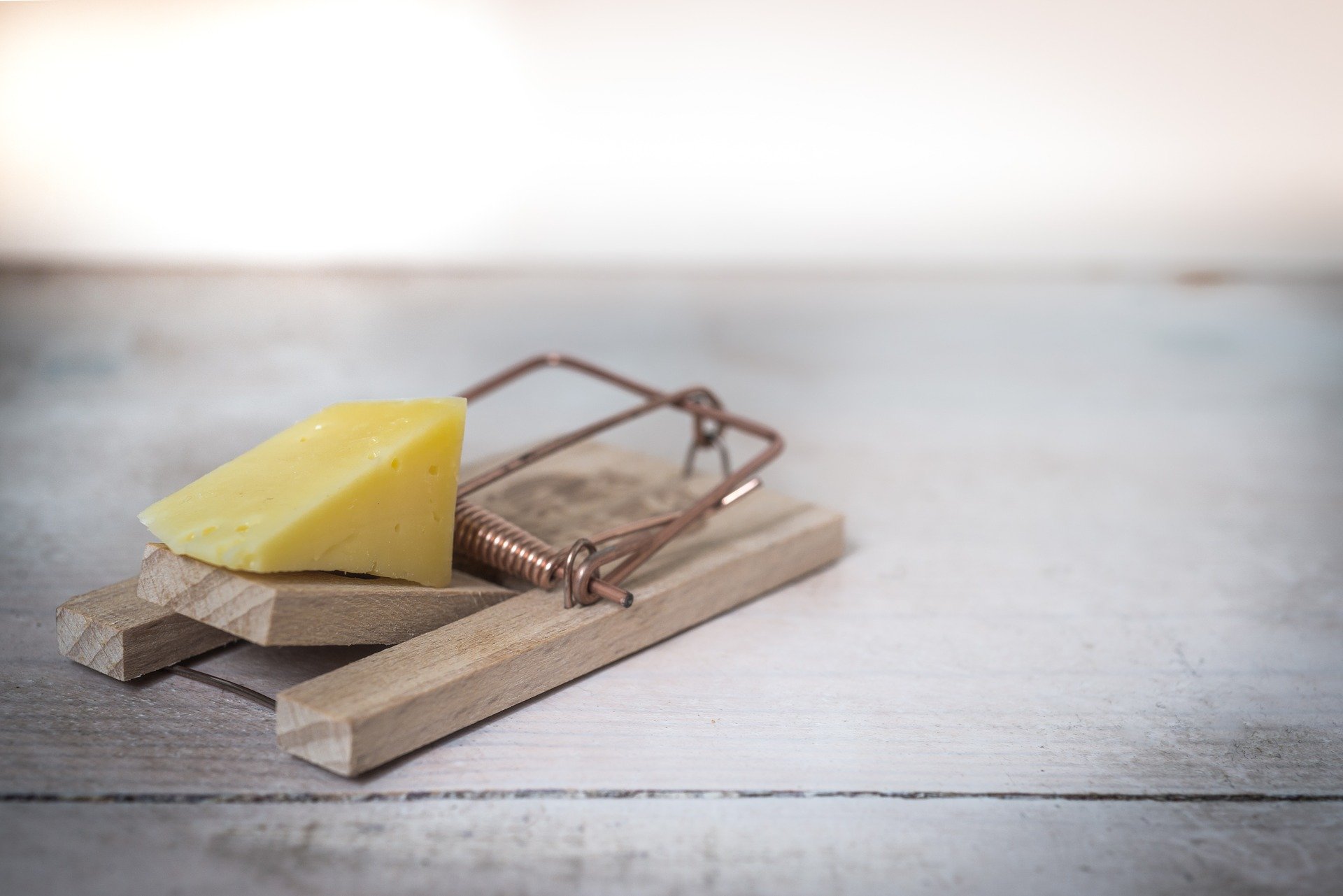 mouse-trap-2846147_1920