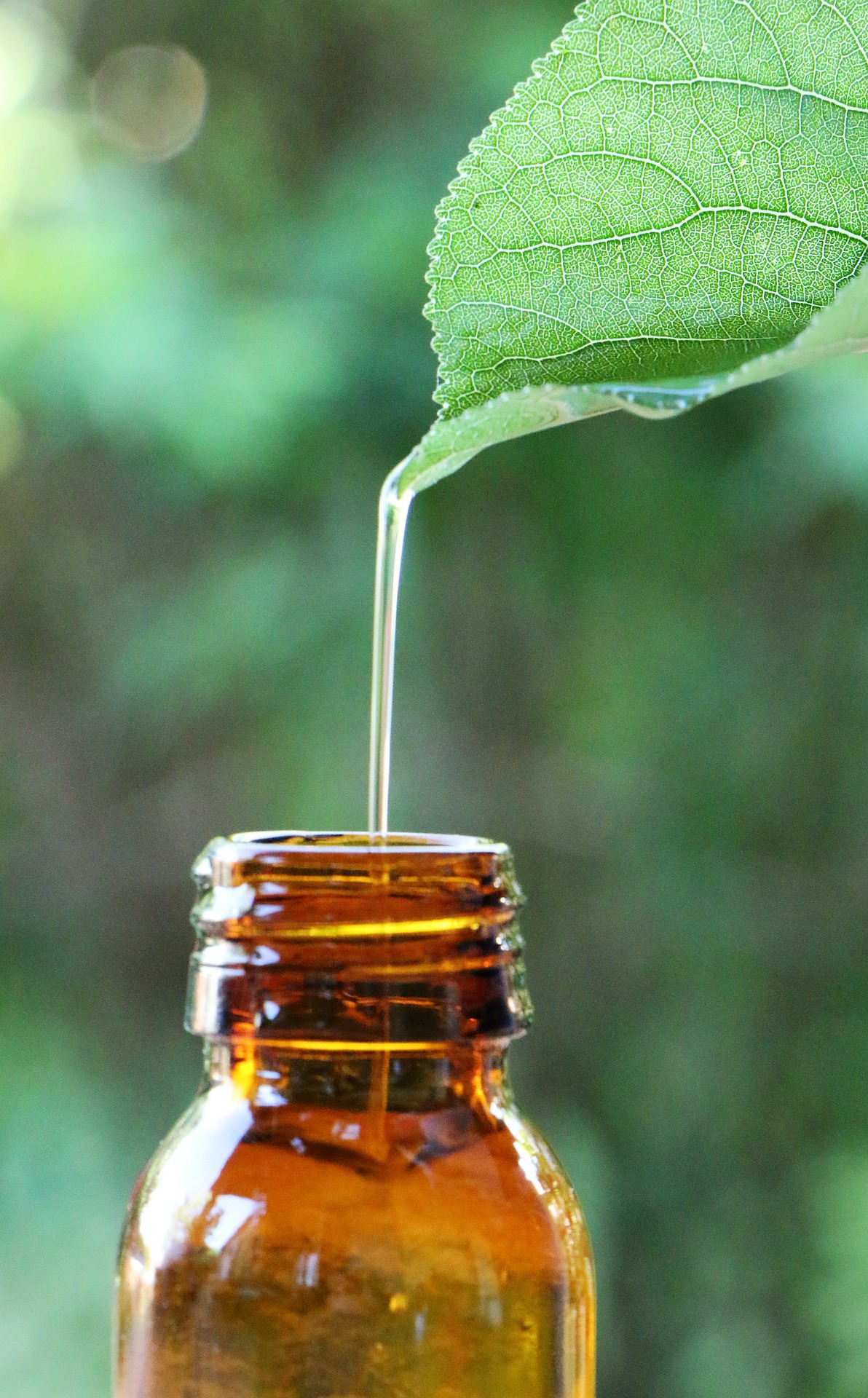 essential-oil-5982237_1920