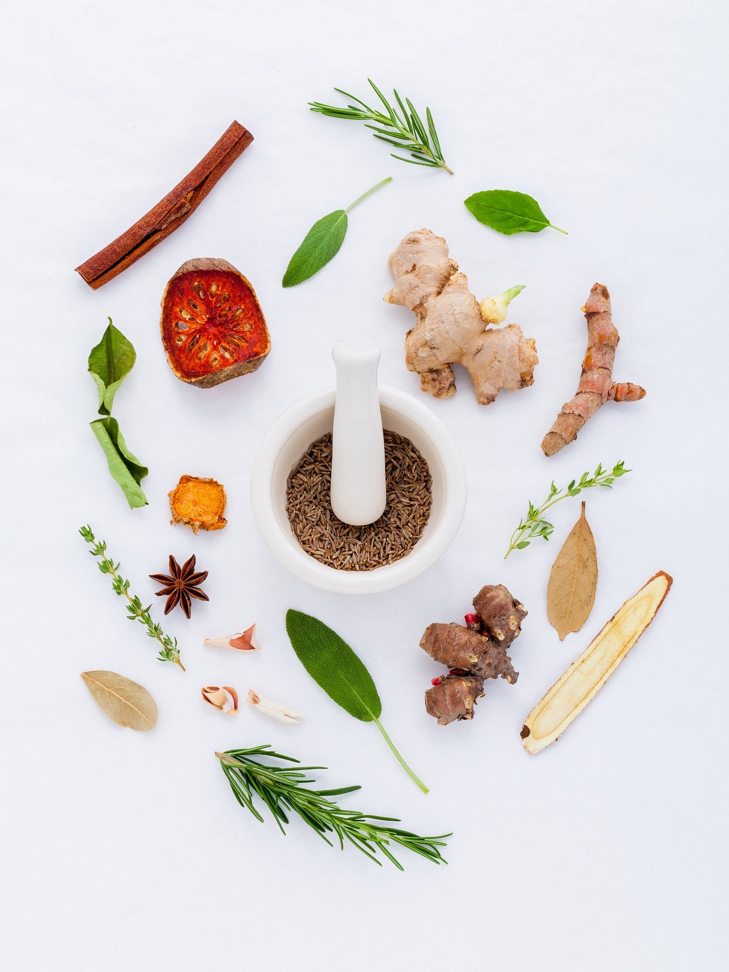 herbs-906140_1920 (1)
