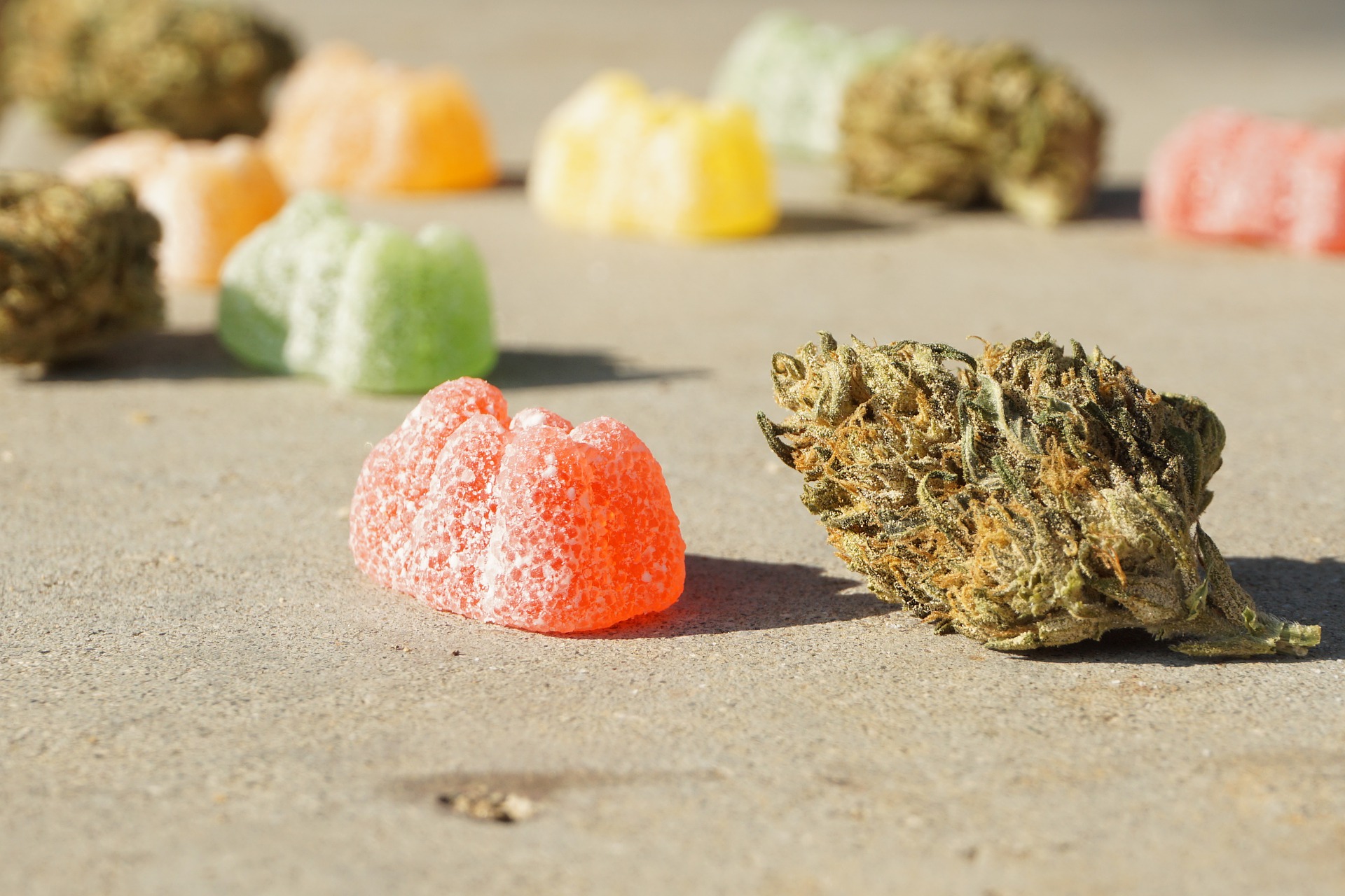 cannabis-6558927_1920