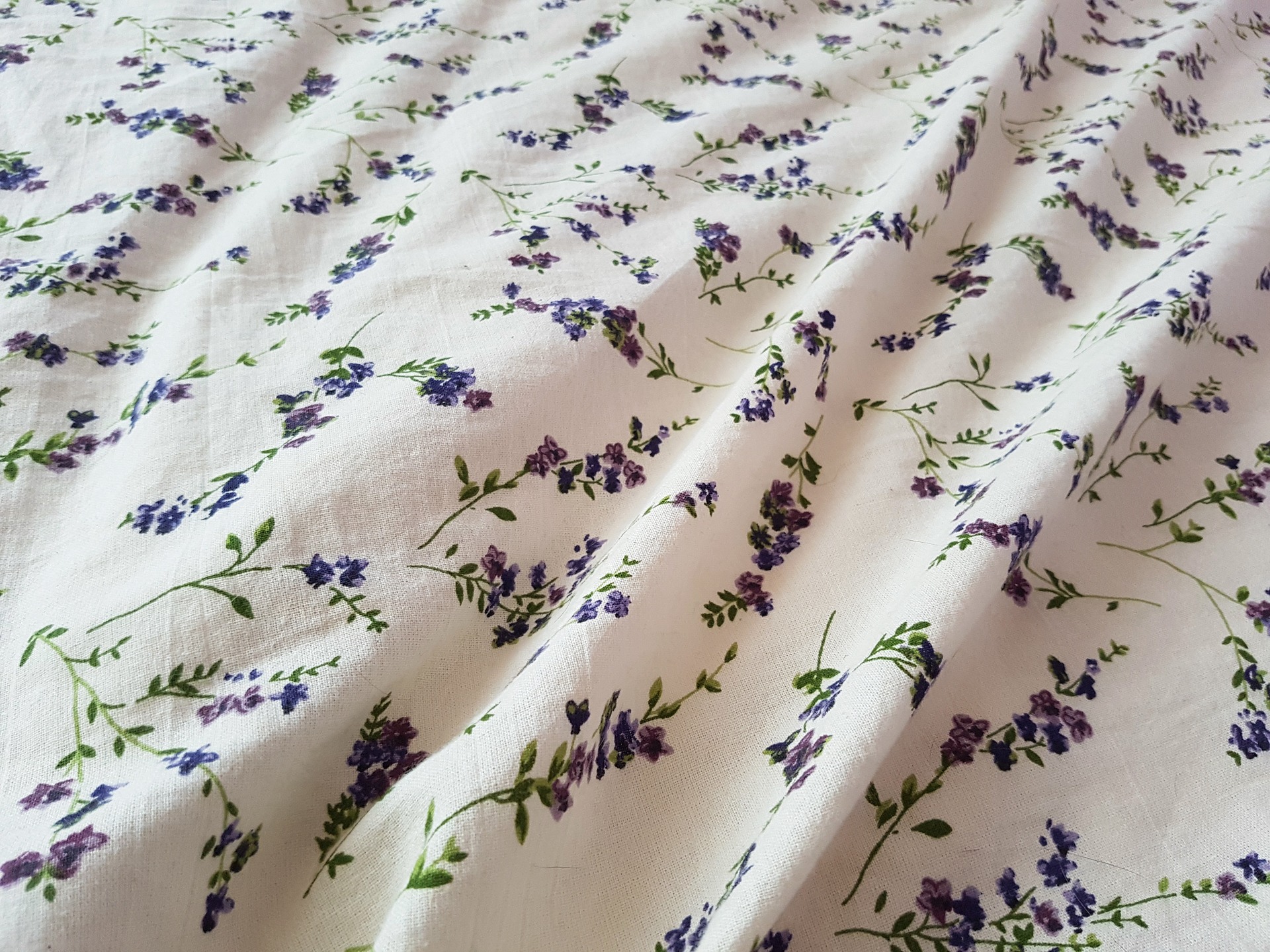 lavender-1527089_1920
