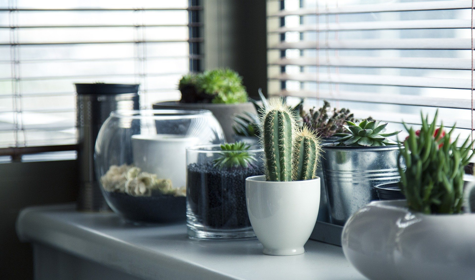pots-g95c38786c_1920