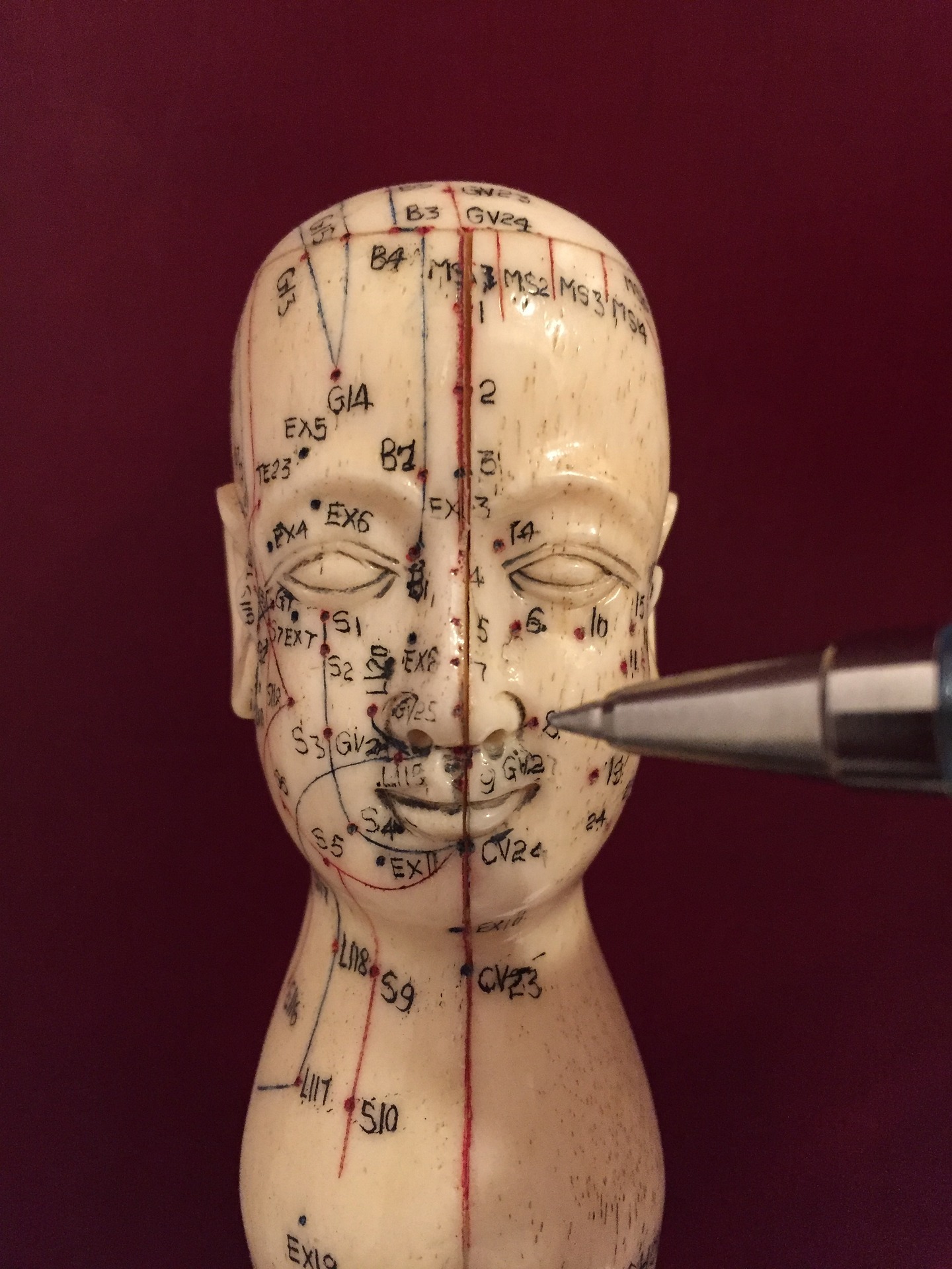 acupuncture-2720489_1920