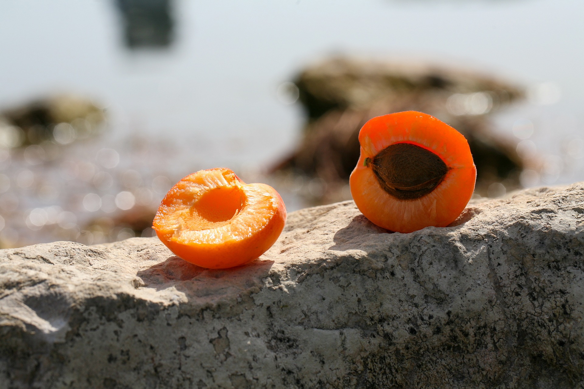apricot-7420815_1920