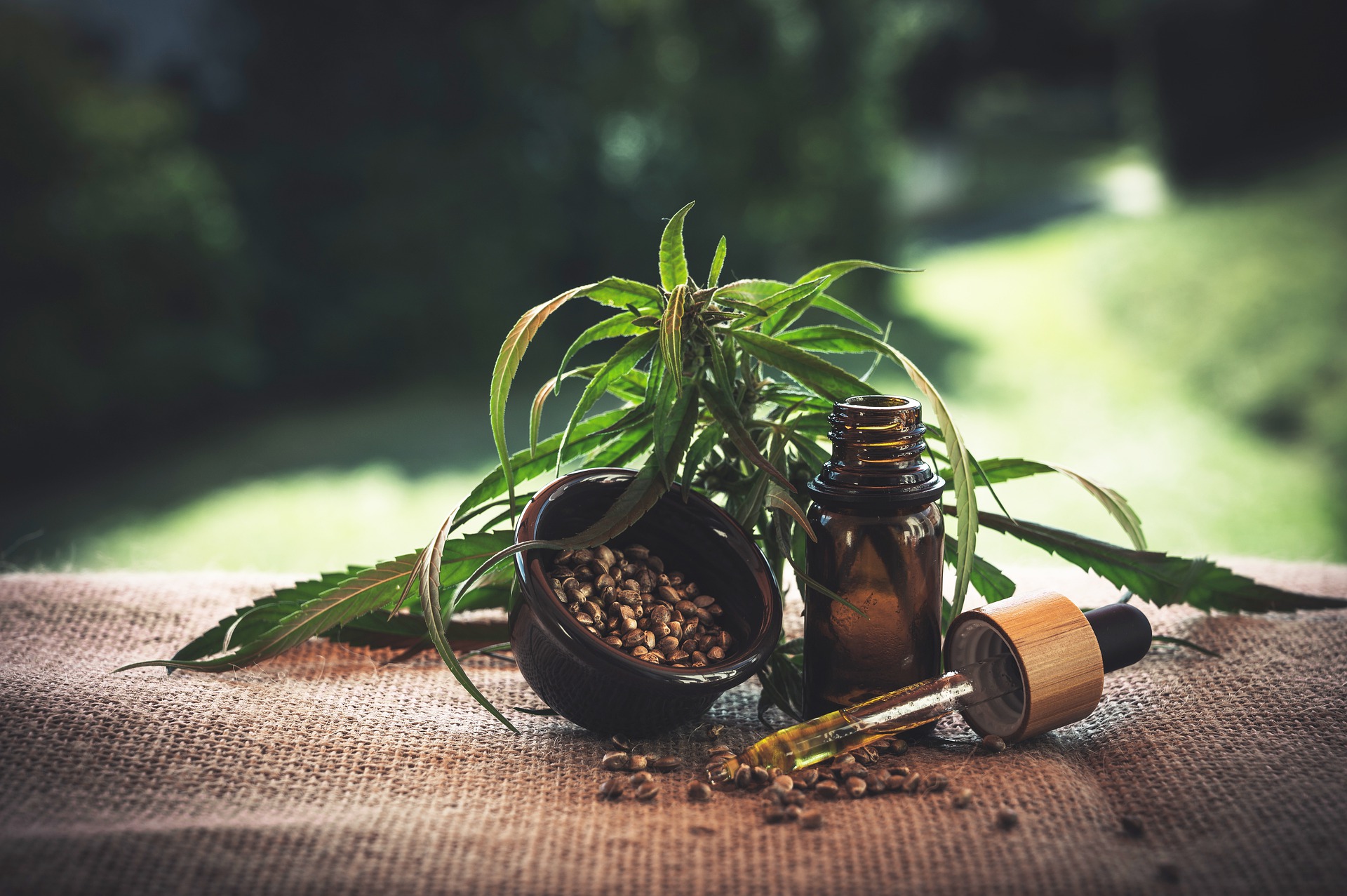 cbd-g13d4e08ea_1920