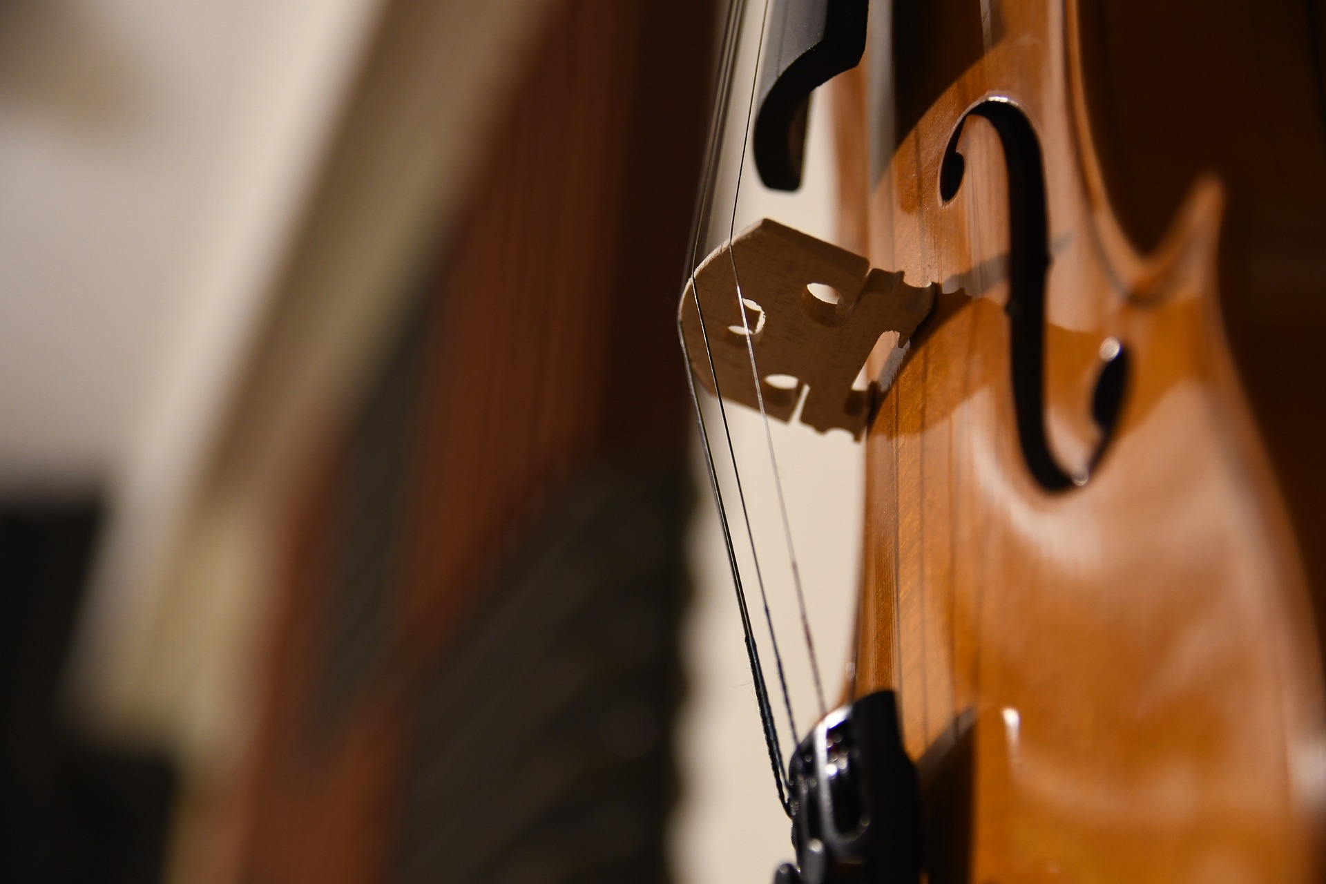 violin-5818267_1920