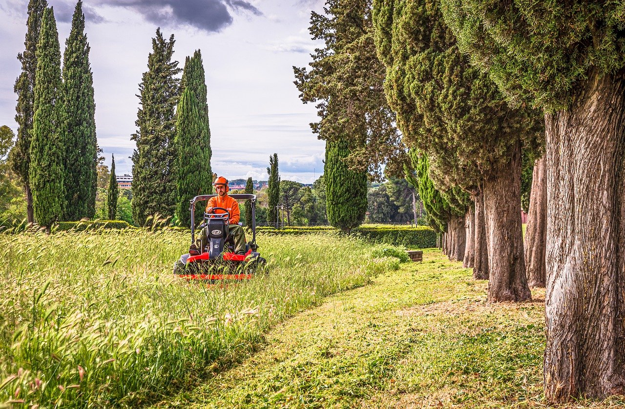 farmer-7892631_1280