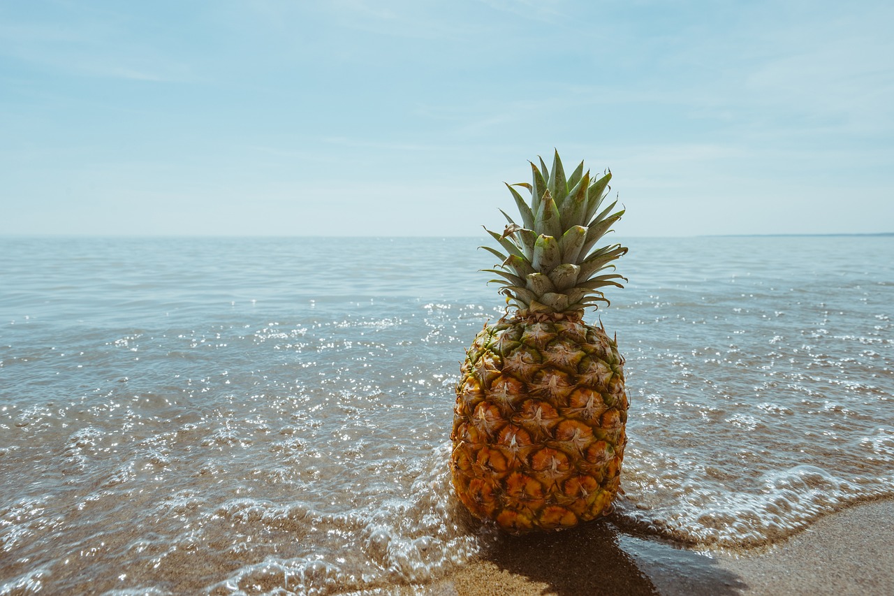 pineapple-1834329_1280
