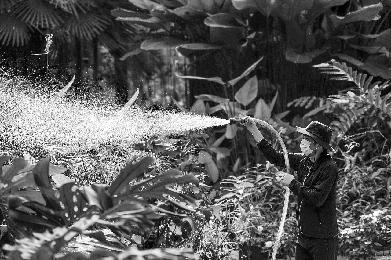 spray-7735554_1280