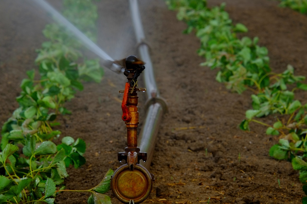 water-sprinkler-880965_1280