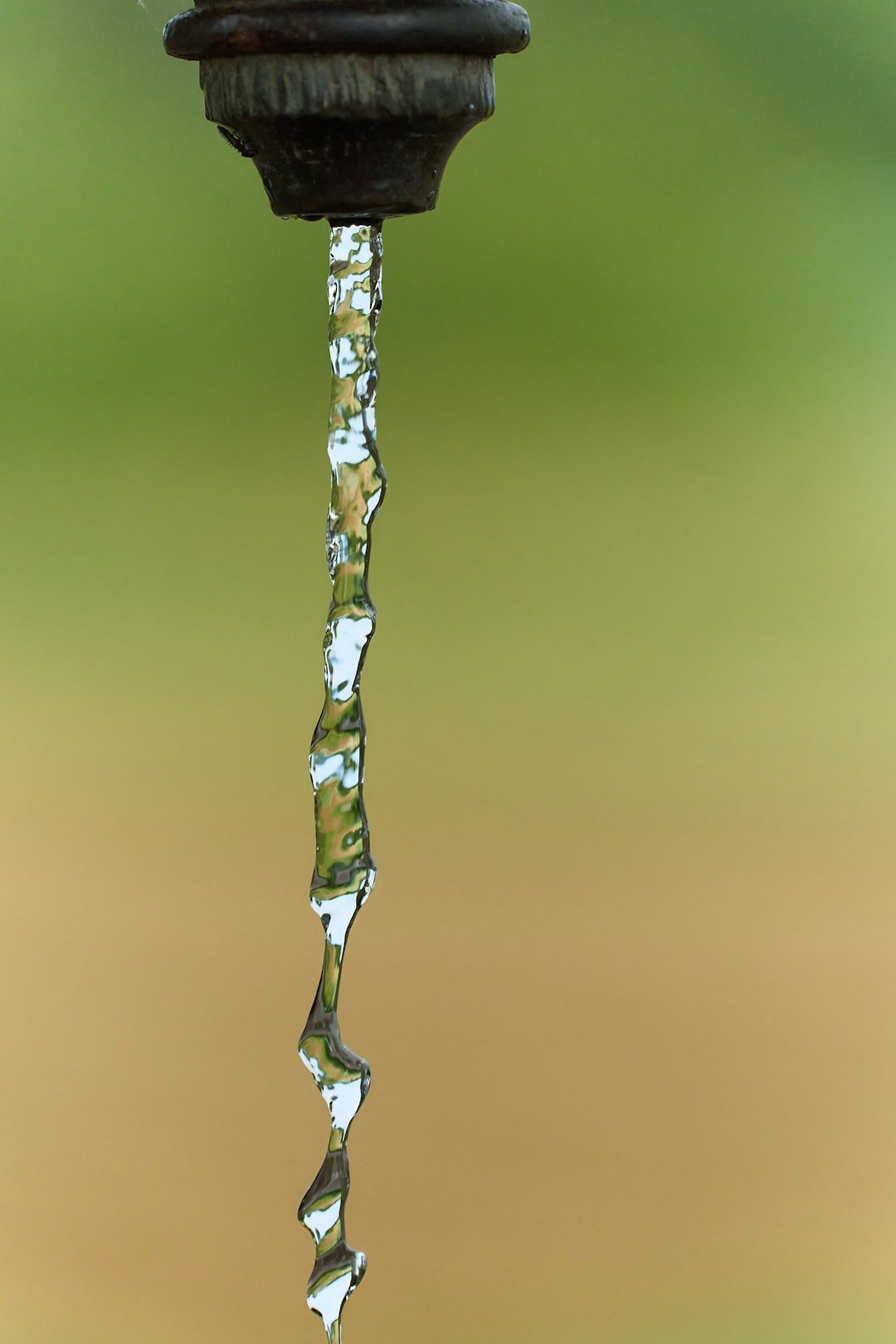 A bird is sitting on top of a water faucet